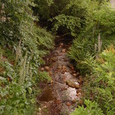 THE KOMMISSIEKRAAL RIVIER THAT RUNS THROUGH THE VILLAGE.
